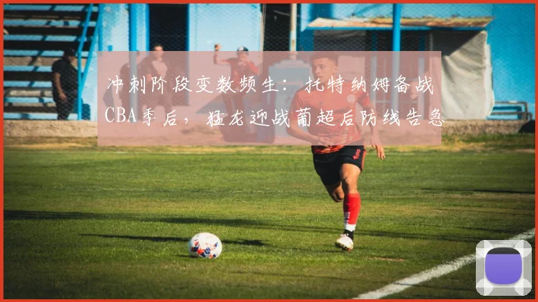 冲刺阶段变数频生：托特纳姆备战CBA季后，猛龙迎战葡超后 - 平博网站